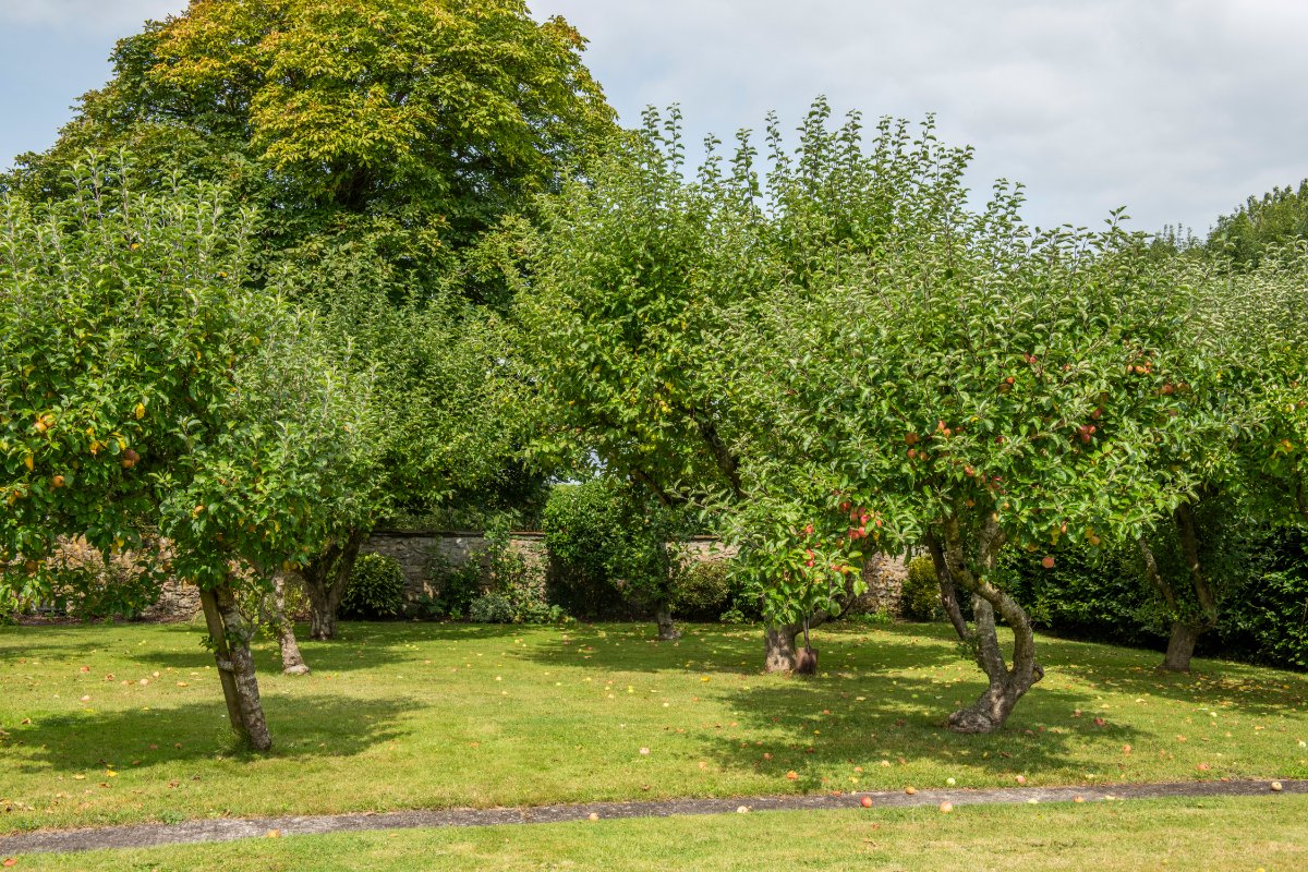 60 acres House, Manor Farm, Alhampton BA4 - Sold