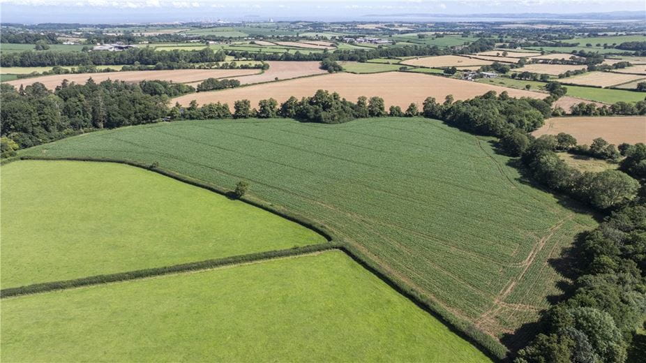 19.3 acres Land, Land At Spaxton, Bridgwater TA5 - Available