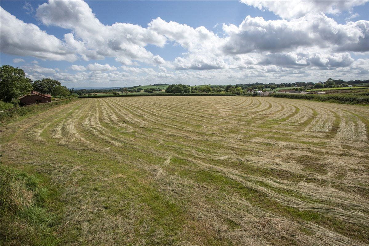 5 acres Land, Lot 4: Land At Splatt Lane, Spaxton TA5 - Sold