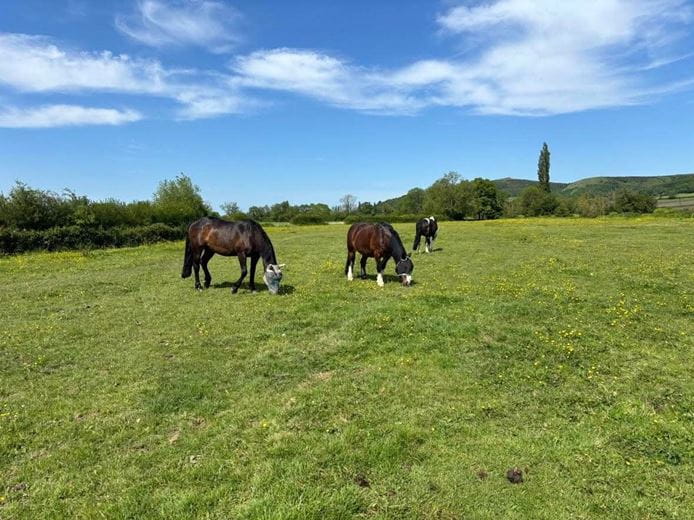 5.9 acres Land, Lot 2: Land At Compton Bishop Farm, Axbridge BS26 - Sold STC