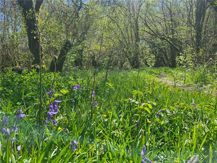 4 bedroom house, Cookbury Court, Cookbury EX22 - Available