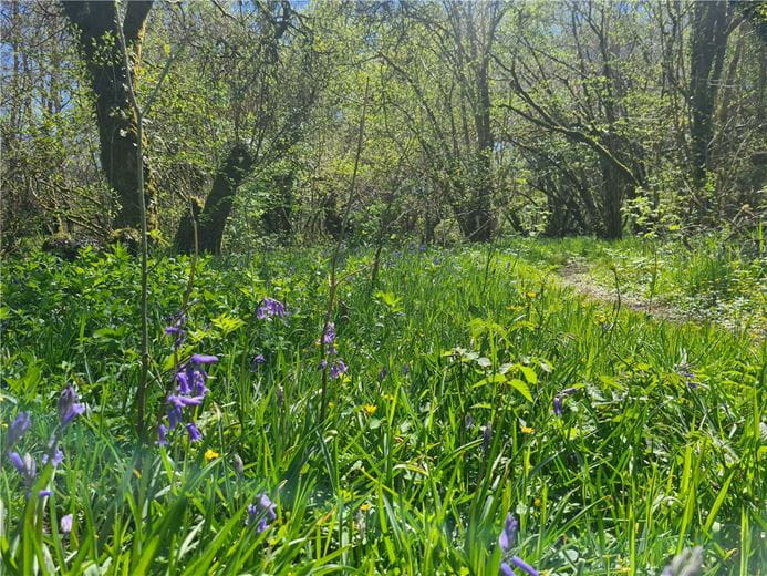 4 bedroom house, Cookbury, Holsworthy EX22 - Available