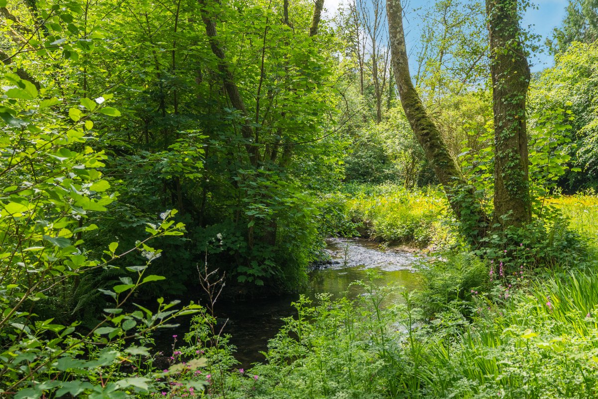 17.7 acres Country Estate, Muddiford, Barnstaple EX31 - Available