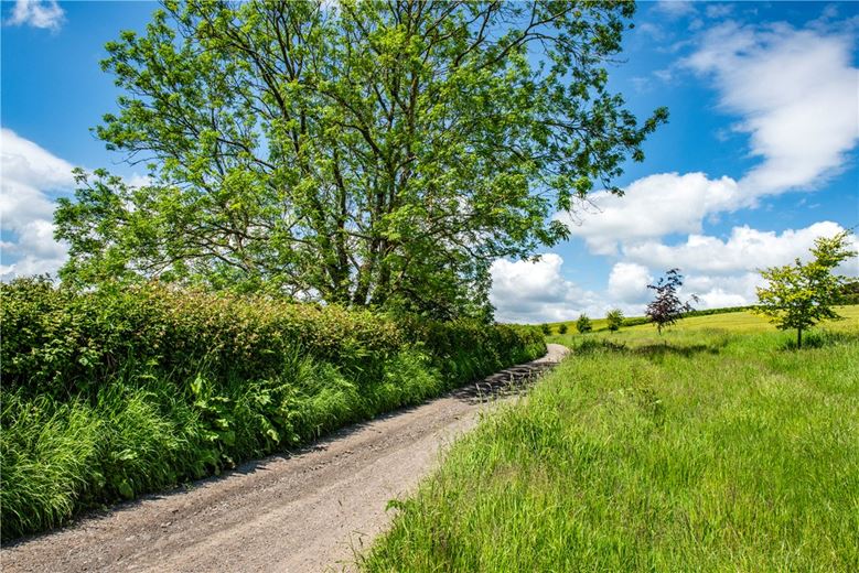 258 acres House, Symondsbury, Bridport DT6 - Available