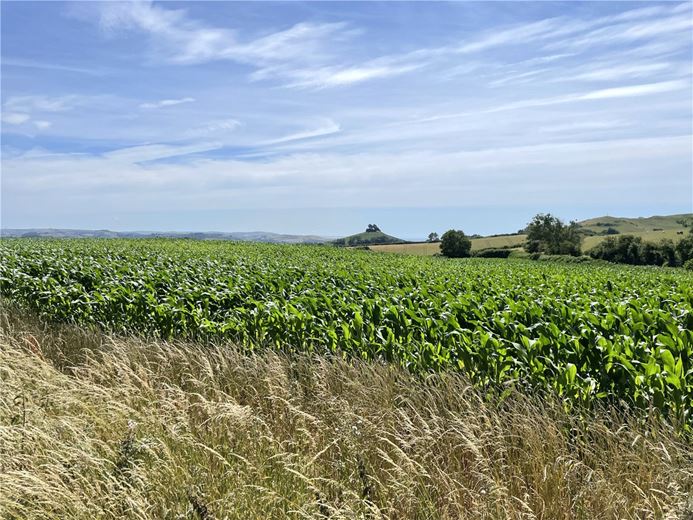 258 acres House, Symondsbury, Bridport DT6 - Available