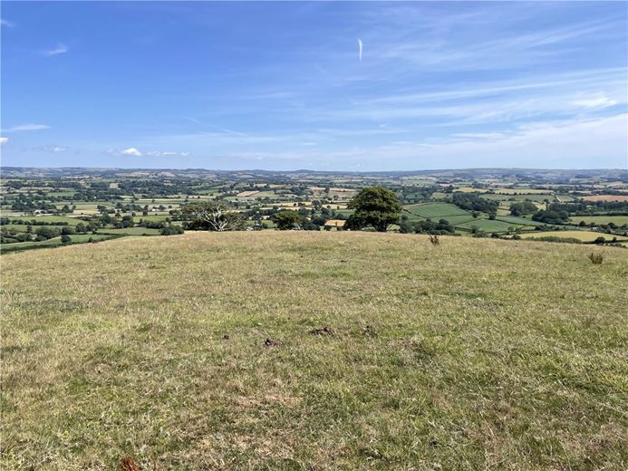 258 acres House, Symondsbury, Bridport DT6 - Available