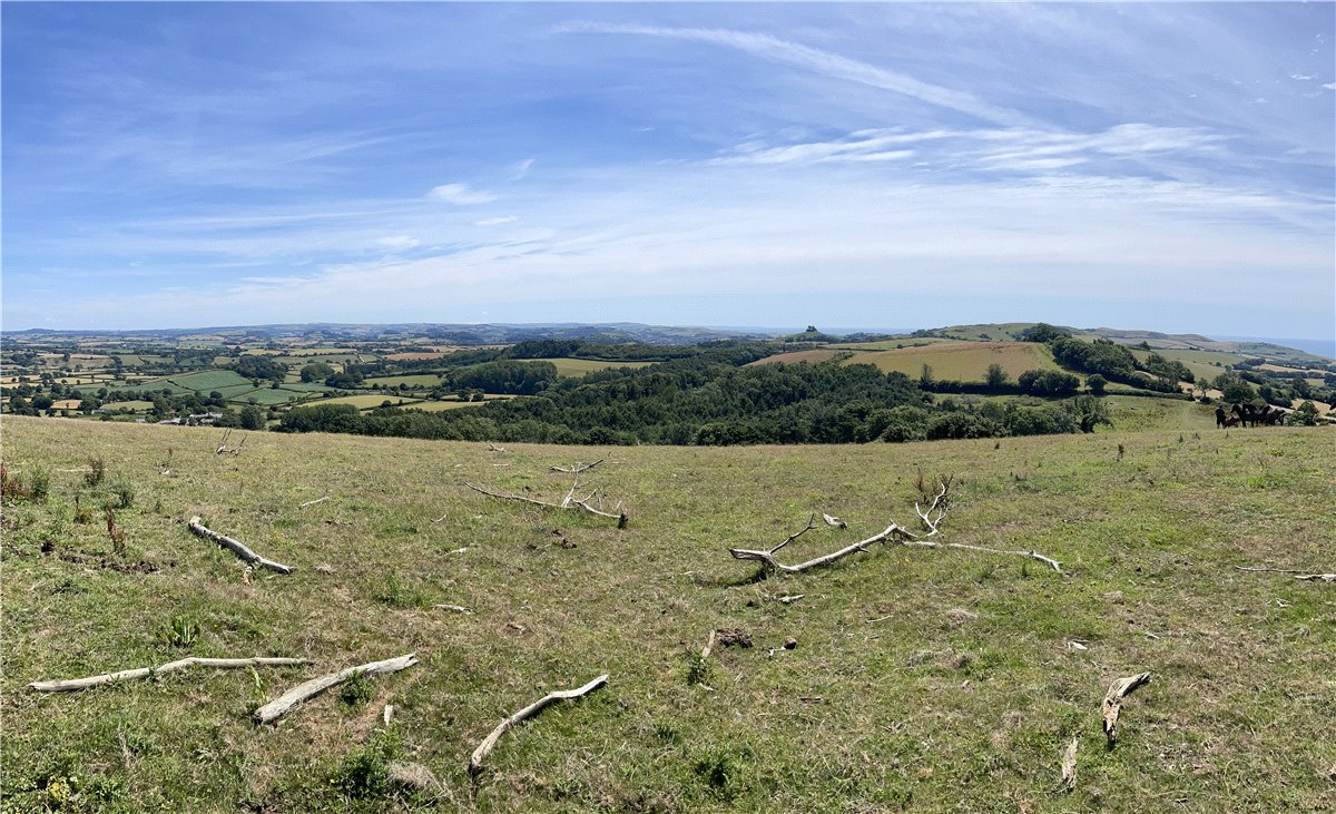 258 acres House, Symondsbury, Bridport DT6 - Available