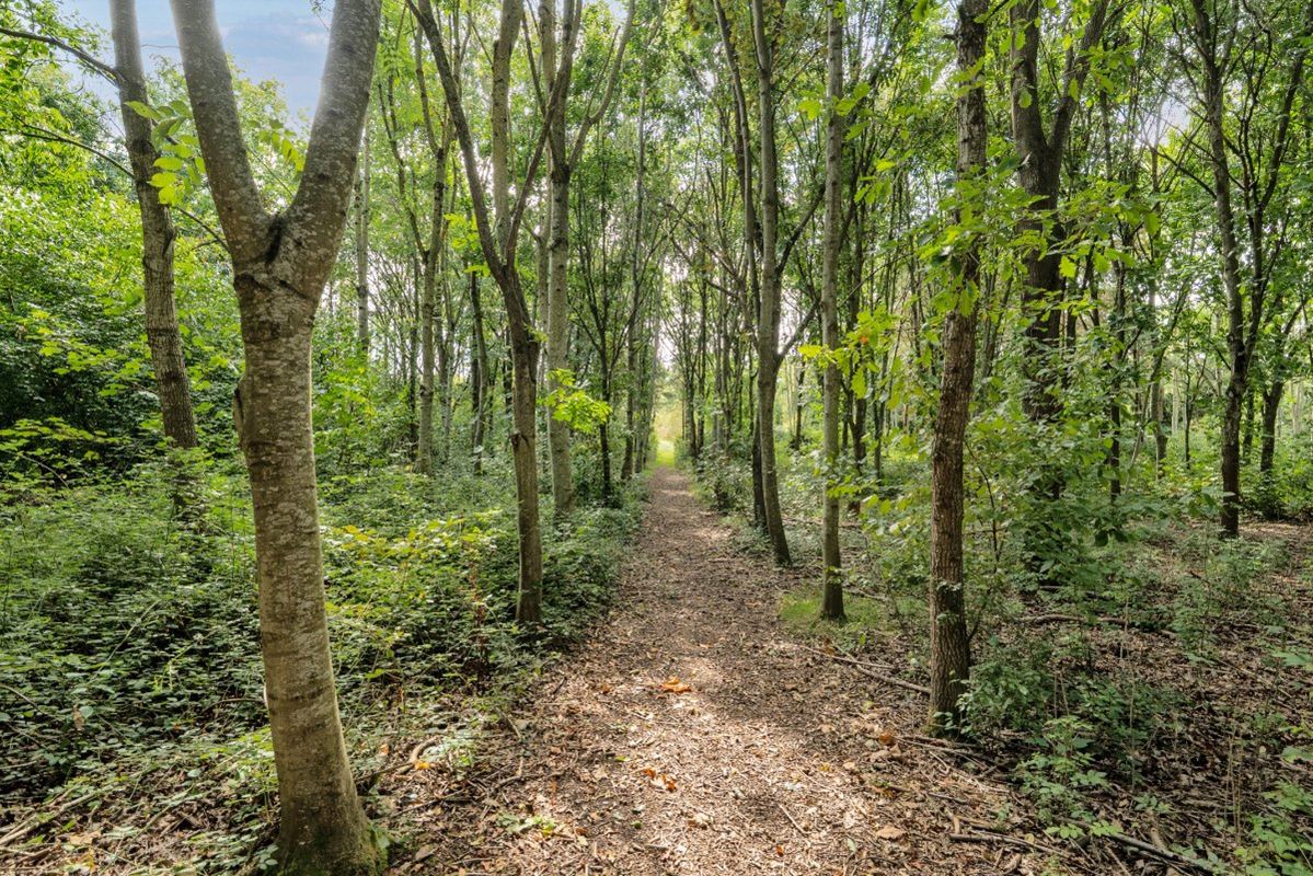 13.1 acres Land, Drake Street, Welland WR13 - Available