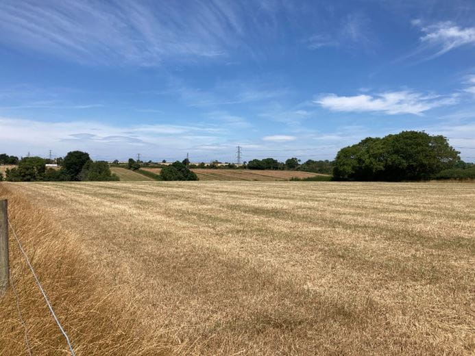 3.1 acres Land, Lot 2: Land At Goathurst, Goathurst TA5 - Available