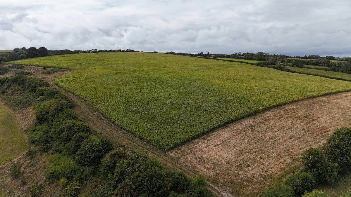 46.4 acres Land, Lot 3: Land At Cruxton Manor Farm, Cruxton DT2 - Available
