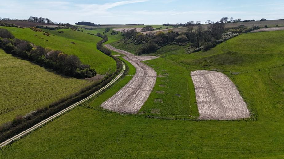 74.3 acres Land, Lot 4: Land At Cruxton Manor Farm, Cruxton DT2 - Available