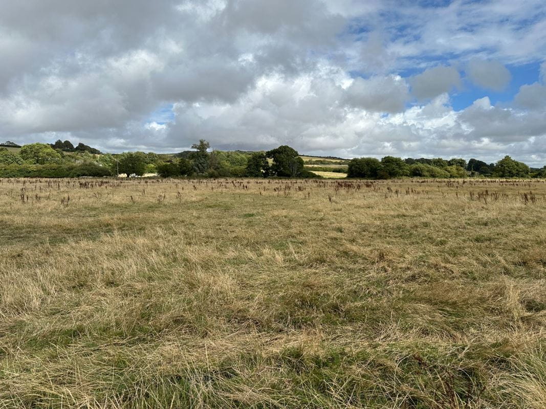 11.2 acres Land, Lot 6: Land At Cruxton Manor Farm, Cruxton DT2 - Available