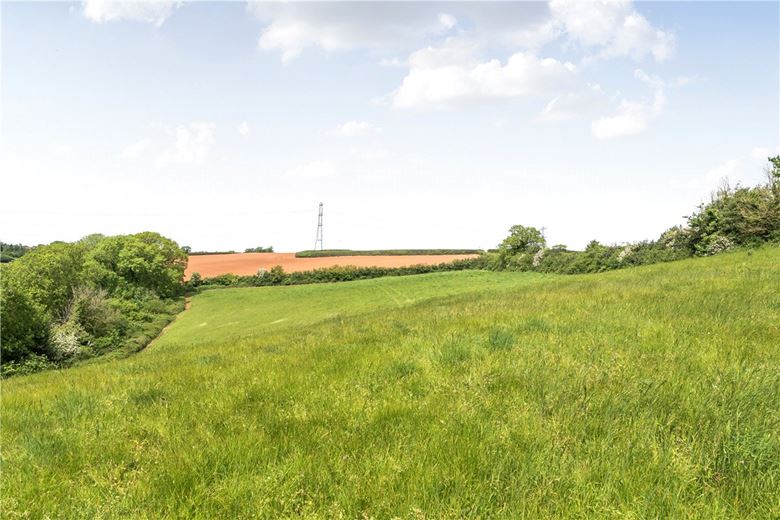 38.5 acres House, Hill Farm, West Monkton TA2 - Available