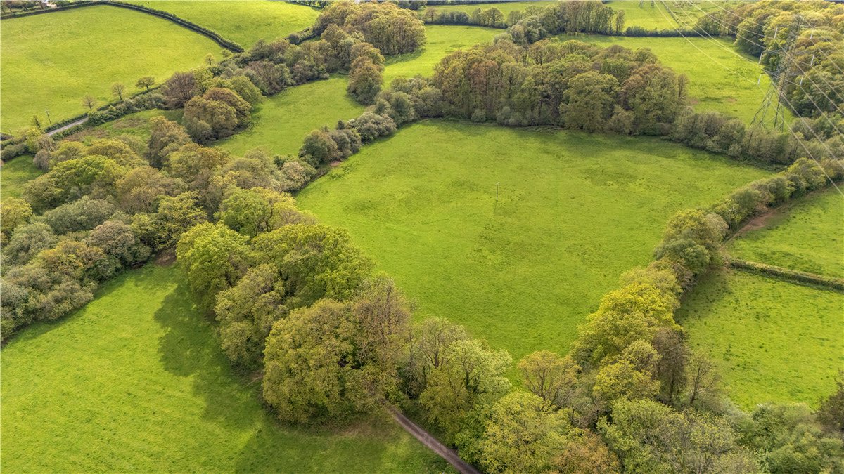 29.8 acres Land, Shillingford, Tiverton EX16 - Available