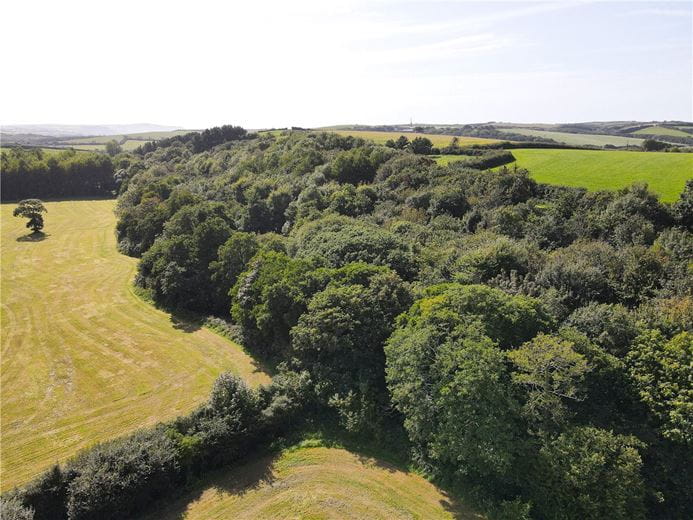 16.2 acres Land, Marhamchurch, EX23 - Sold