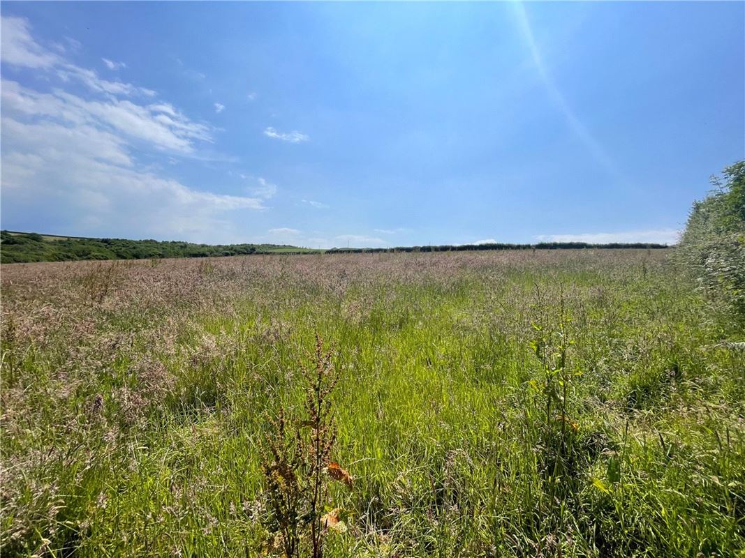 19.4 acres Land, Morwenstow, Bude EX23 - Sold