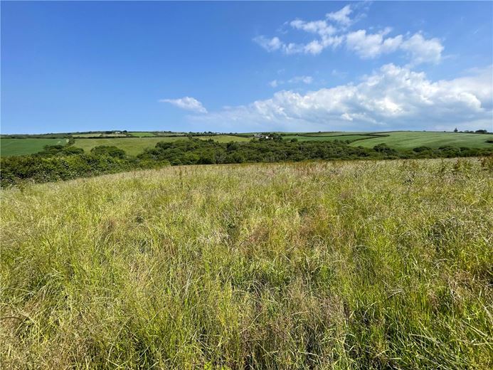 19.4 acres Land, Morwenstow, Bude EX23 - Sold