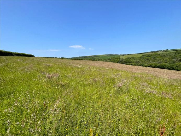 19.4 acres Land, Morwenstow, Bude EX23 - Sold