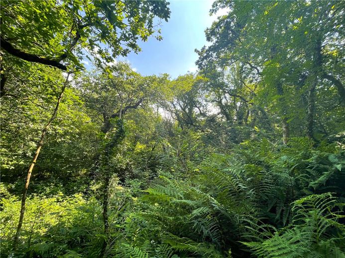 19.4 acres Land, Morwenstow, Bude EX23 - Sold