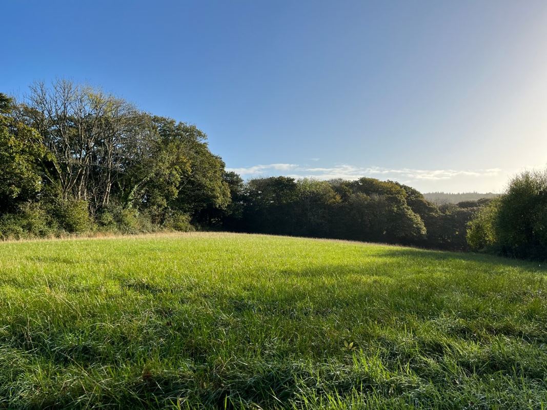 70.7 acres Land, Zelah, Truro TR4 - Sold