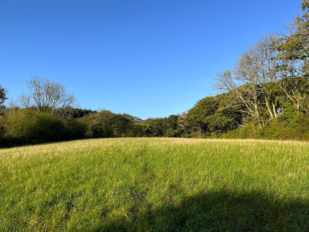 70.7 acres Land, Zelah, Truro TR4 - Sold
