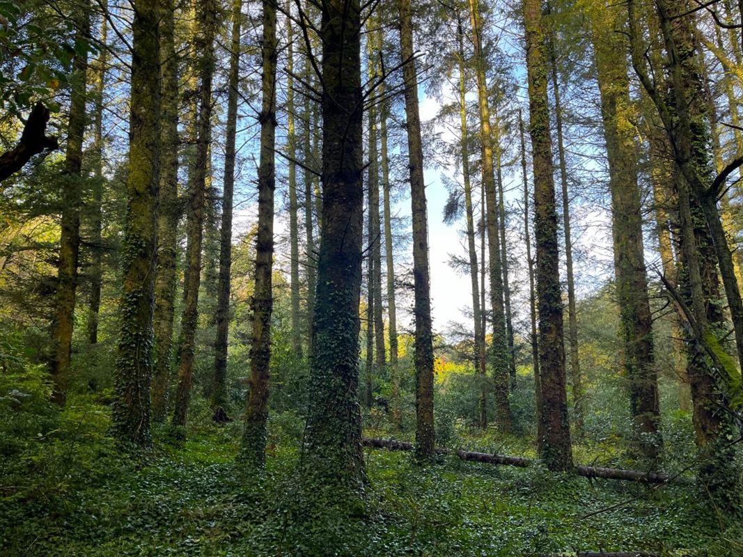 70.7 acres Land, Zelah, Truro TR4 - Sold