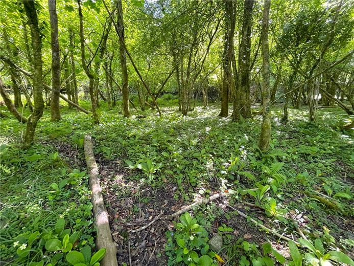 4.5 acres Land, Clerkenwater, Bodmin PL30 - Sold