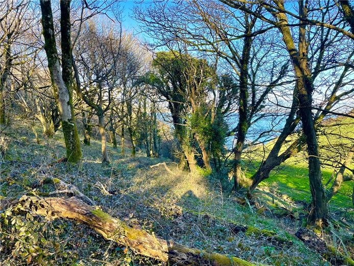 104.2 acres Land, Porthpean, St. Austell PL26 - Sold