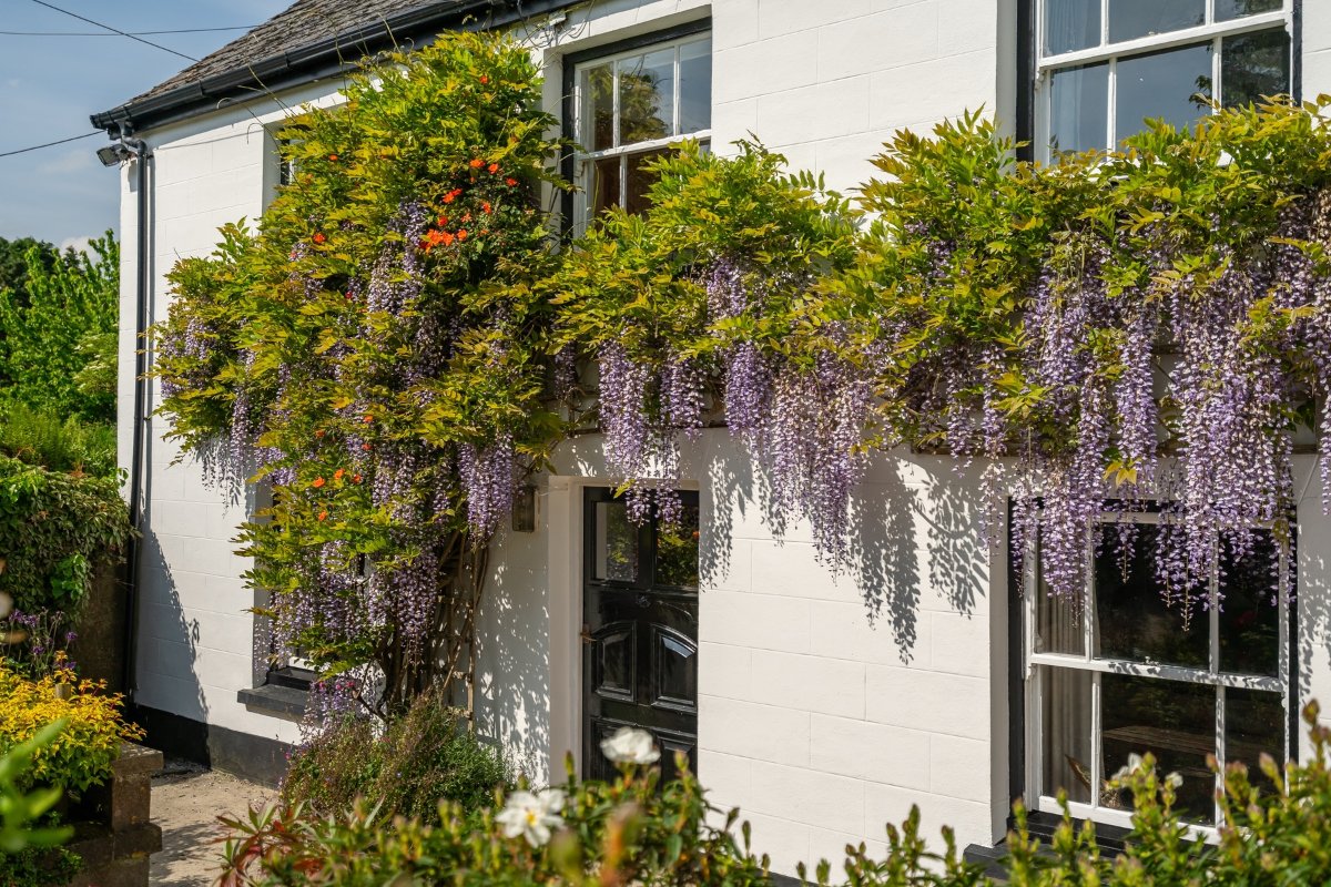 50 acres Farm, Tresamble, Gwennap TR16 - Sold