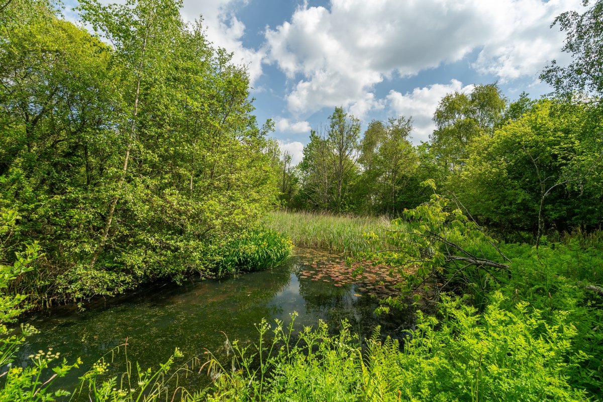 50 acres Farm, Tresamble, Gwennap TR16 - Sold