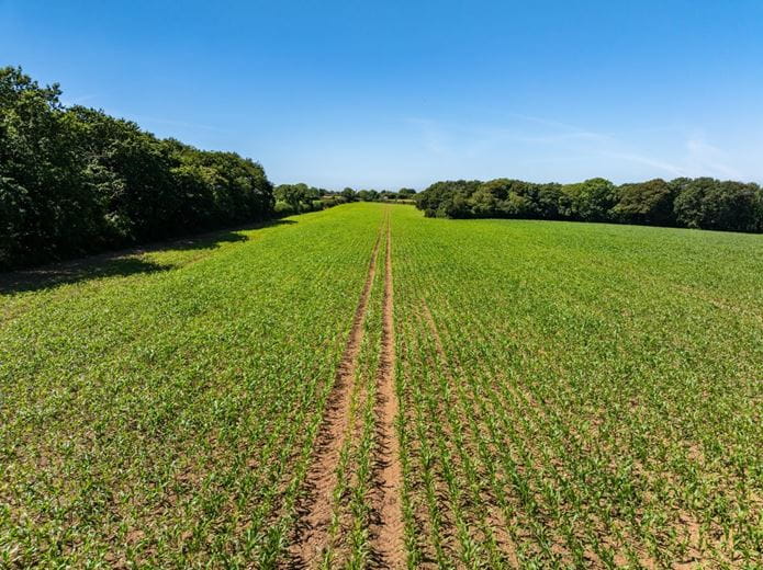 198 acres Land, Praze, Camborne TR14 - Sold