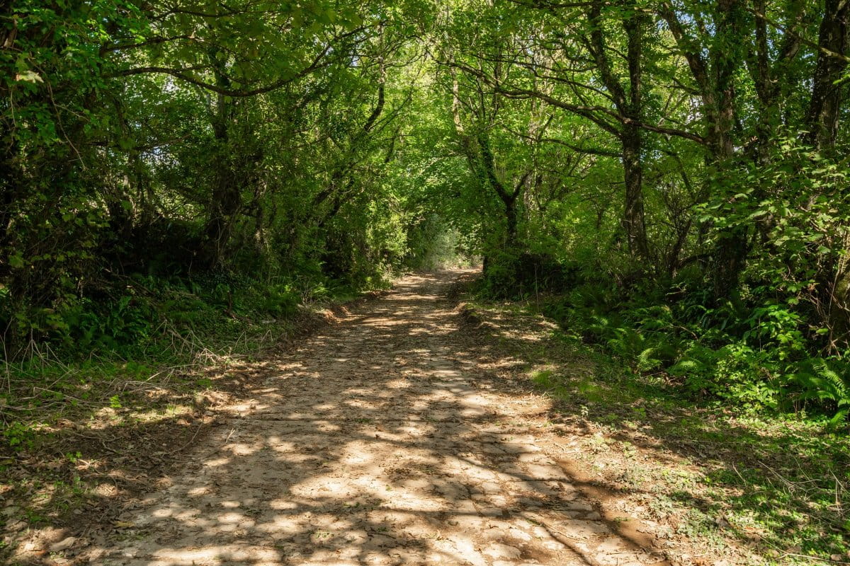5 bedroom house, Ladock, Truro TR2 - Available