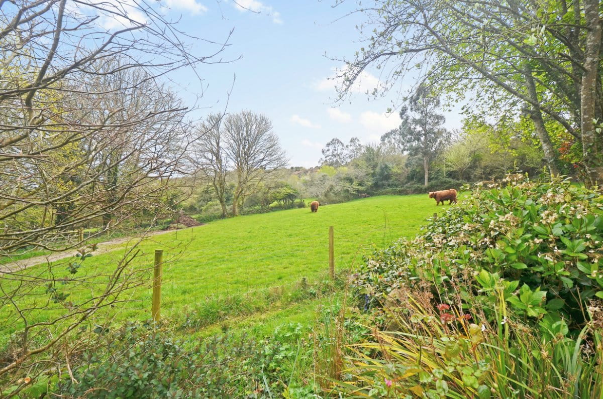 6.8 acres Farm, Hale Mills, Twelveheads TR4 - Available