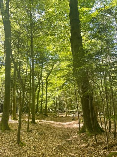 60.4 acres House, Zelah, Truro TR4 - Available