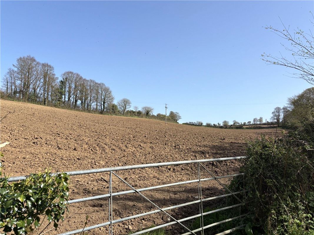 10 acres Land, Land At Tredinnick Wartha, St. Keverne TR12 - Available