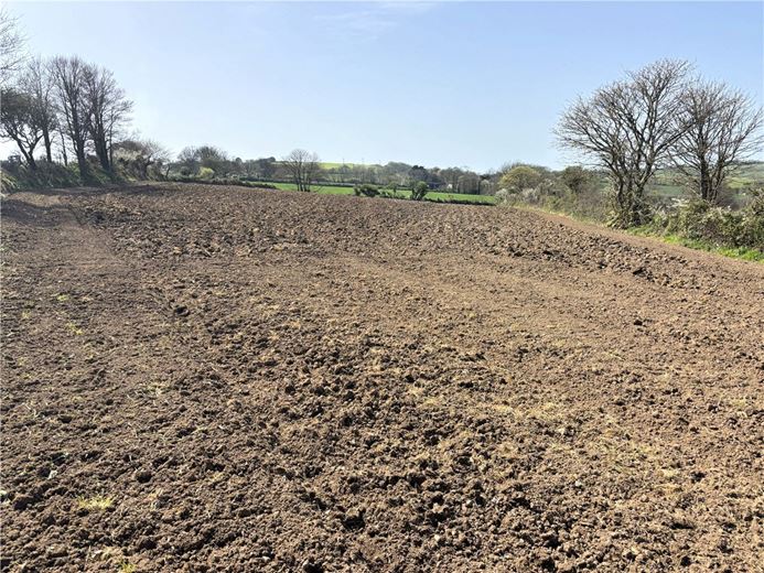 12 acres Land, Land At Tredinnick Wartha, St. Keverne TR12 - Available