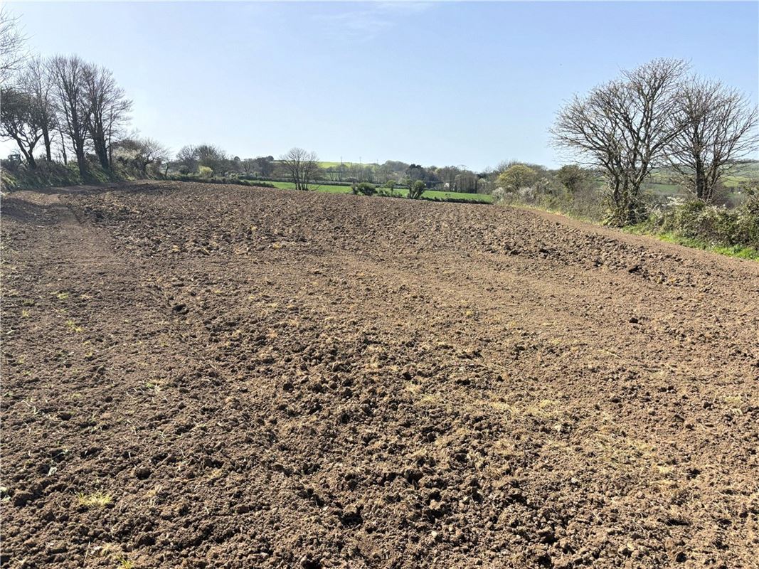 12 acres Land, Land At Tredinnick Wartha, St. Keverne TR12 - Available