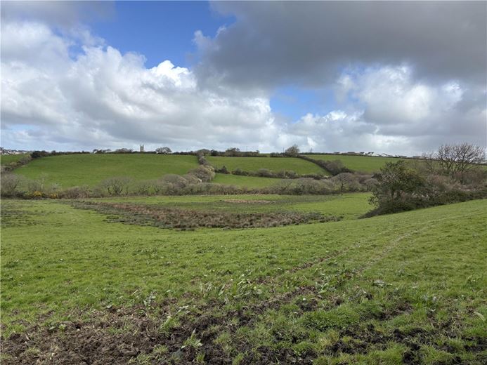 85 acres Land, Probus, Cornwall TR2 - Available