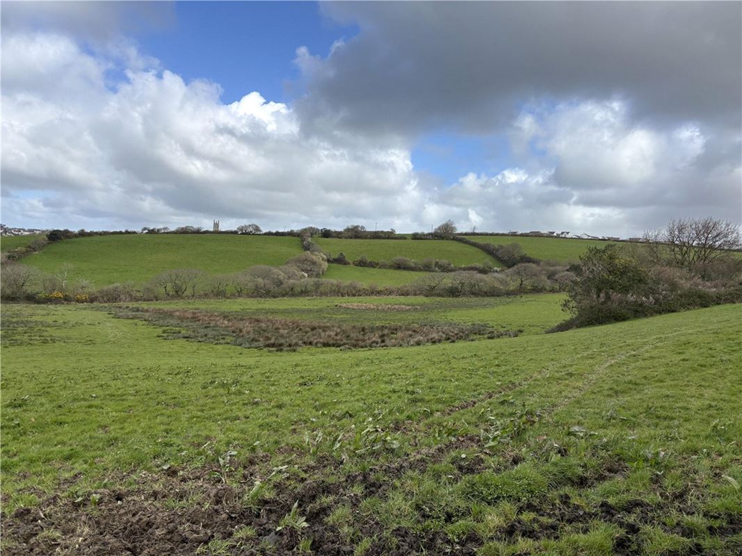 85 acres Land, Probus, Cornwall TR2 - Available