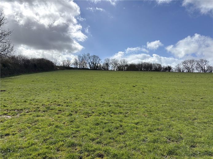 85 acres Land, Probus, Cornwall TR2 - Available