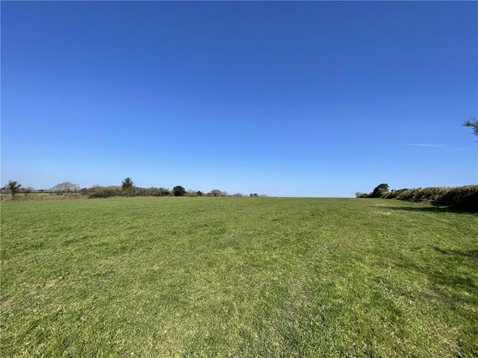 54.3 acres Land, London Apprentice, St. Austell PL26 - Available