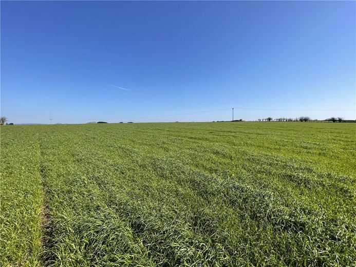 54.3 acres Land, London Apprentice, St. Austell PL26 - Available