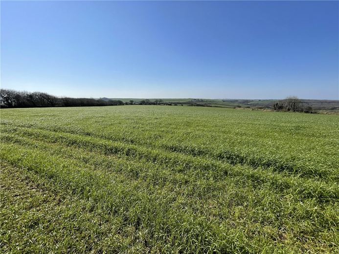 54.3 acres Land, London Apprentice, St. Austell PL26 - Available