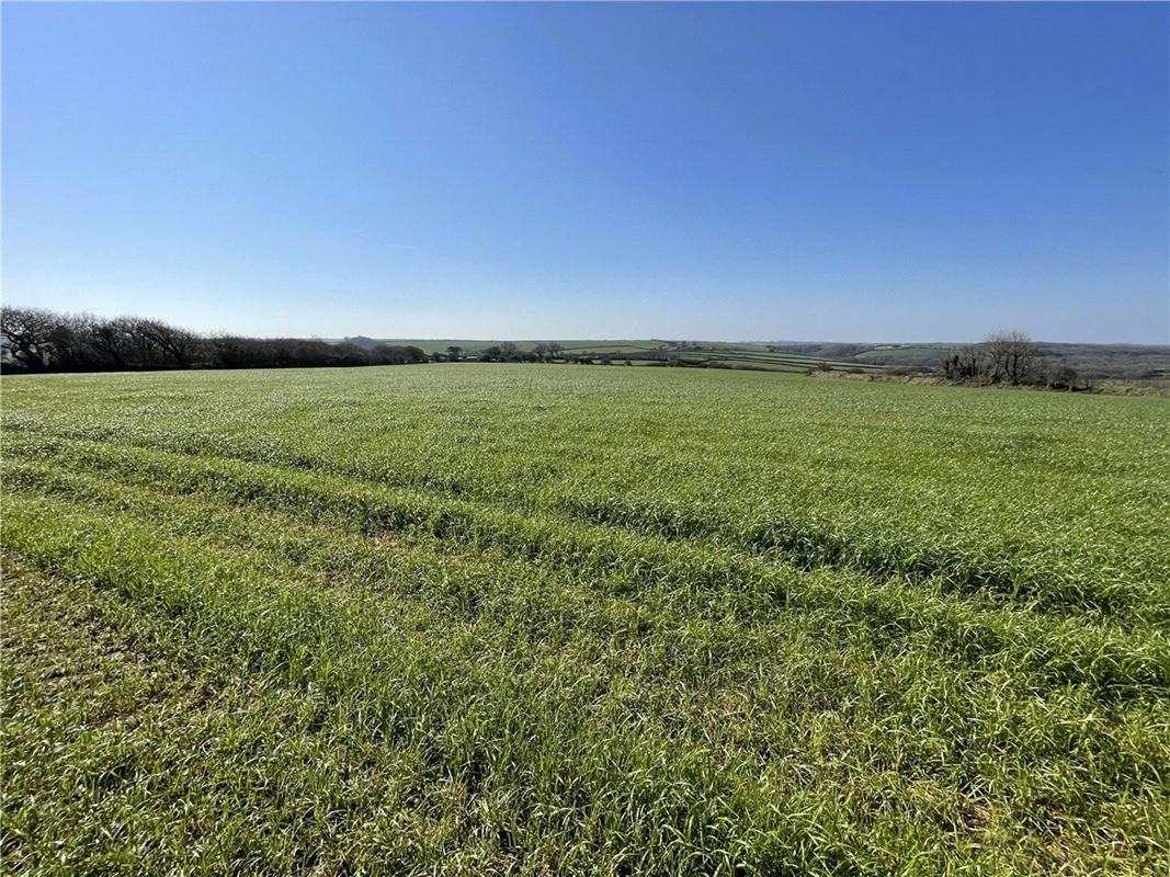 54.3 acres Land, London Apprentice, St. Austell PL26 - Available