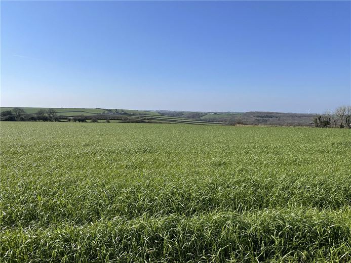 54.3 acres Land, London Apprentice, St. Austell PL26 - Available