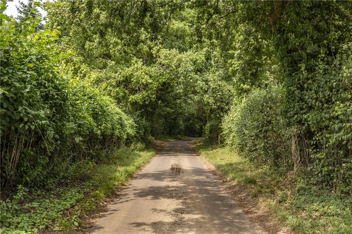 4 bedroom , Hurstbourne Priors, Whitchurch RG28 - Available