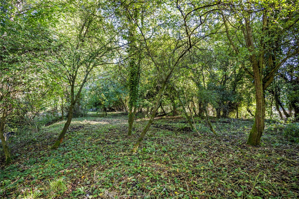 1.4 acres Land, Lower Way, Thatcham RG19 - Sold