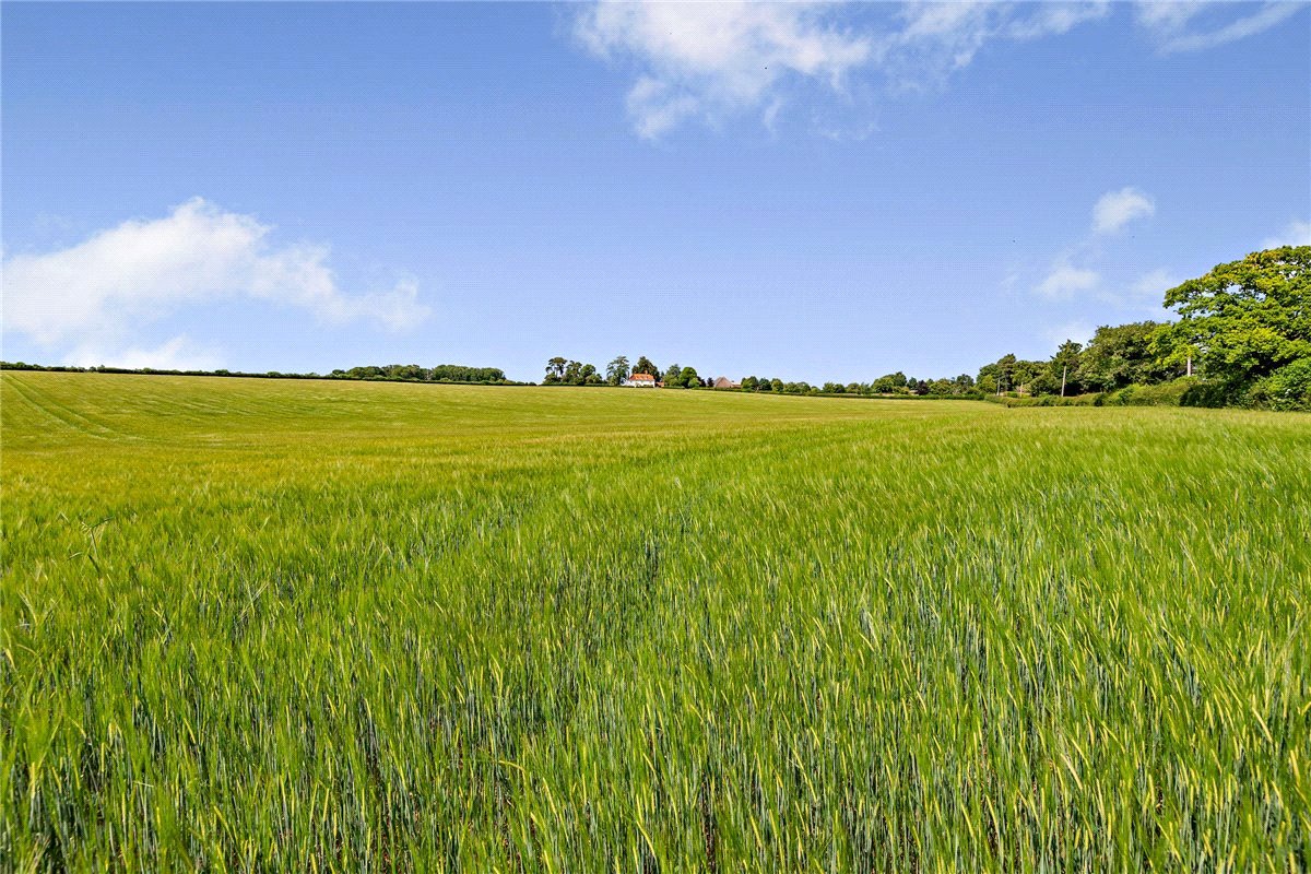 100 acres House, Leckhampstead, Newbury RG20 - Sold STC