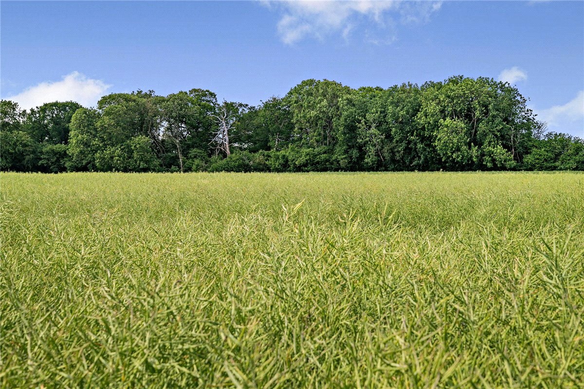 100 acres House, Leckhampstead, Newbury RG20 - Sold STC