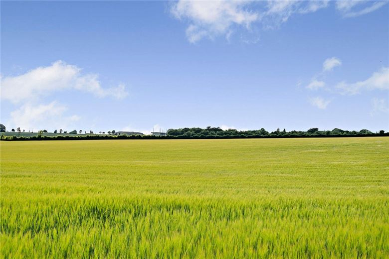 156.1 acres Land, Leckhampstead, Newbury RG20 - Available
